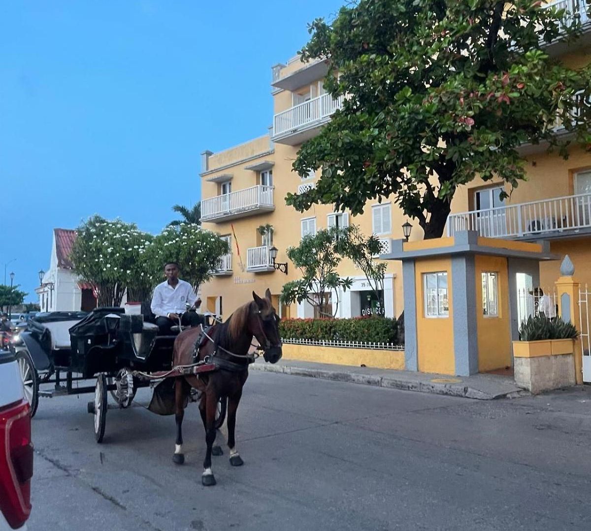 Centro Historico *
